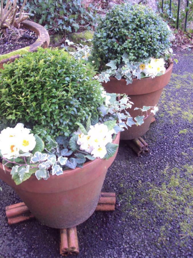 Woodlands Bed & Breakfast Looe Eksteriør bilde